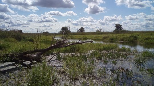 Wycieczka kajakowa po Międzyodrzu - ostatnie wolne kajaki