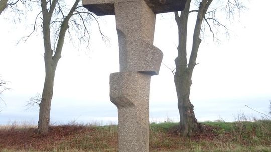 Wycięli potężne drzewa na Starym Trakcie!