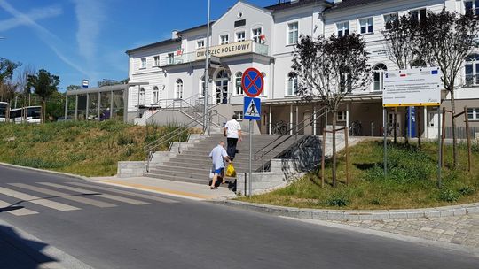 Wycięli stare drzewa, a młode kolejny raz uschły. Betonozy po gryfińsku cd. Wycięli stare drzewa, a młode kolejny raz uschły. Betonozy po gryfińsku cd.