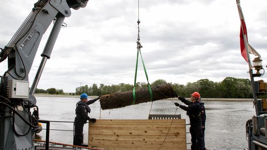 Wydobędą i zdetonują minę z II wojny światowej