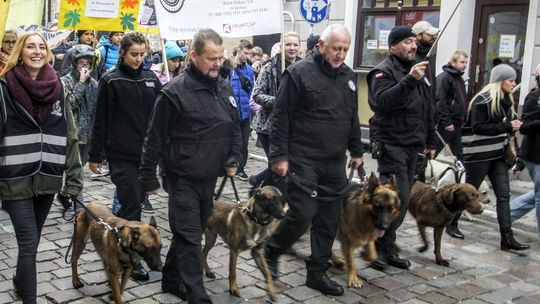 Wyeliminujemy narkotyki i dopalacze z polskich szkół