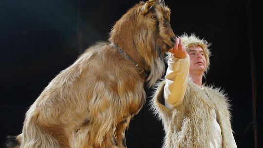 Wygraj bilet do cyrku!