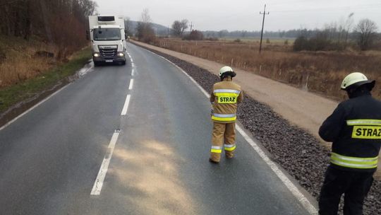 Wyjeżdżali do akcji za akcją. Interweniowali prawie 30 razy