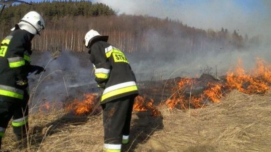 Wyjeżdżali nawet 10 razy jednego dnia