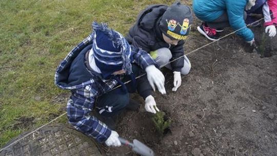 Wymyślili, jak zagospodarować były plac zabaw