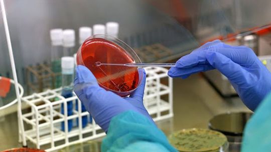 Wynik badania na koronawirusa negatywny