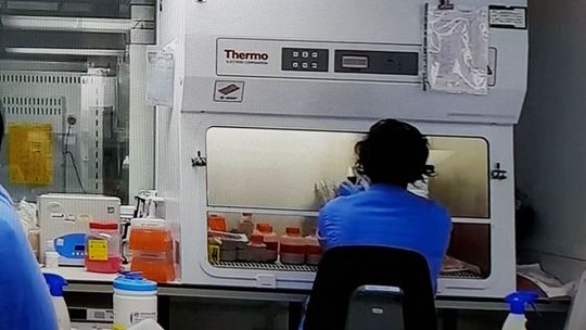 Wynik epidemiologiczny jest dobry, ale czy pełny? Wynik epidemiologiczny jest dobry, ale czy pełny?