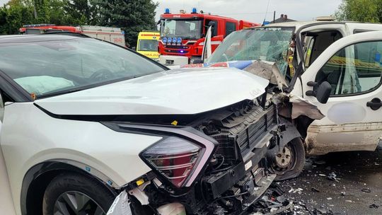 Wypadki i przypadki, którymi zajęli się strażacy w powiecie gryfińskim