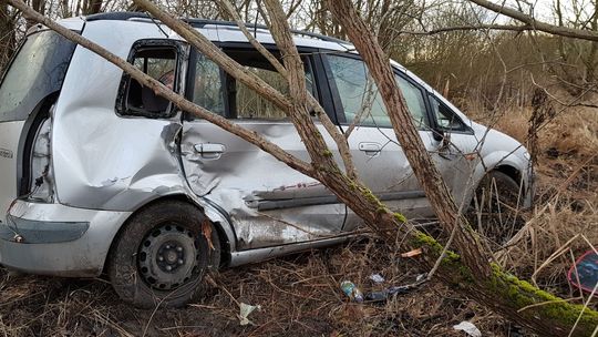 Wypadł z drogi i uderzył w drzewo