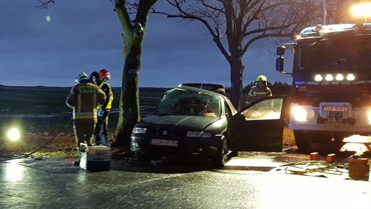 Wypadł z drogi i uderzył w drzewo. Kierowca zbiegł zostawiając rannego pasażera