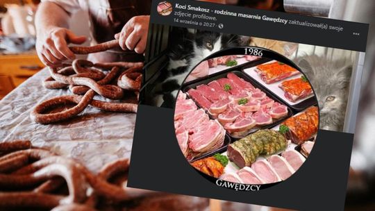 Wyroby z kociego mięsa? Wyjaśniamy kontrowersyjną ofertę 