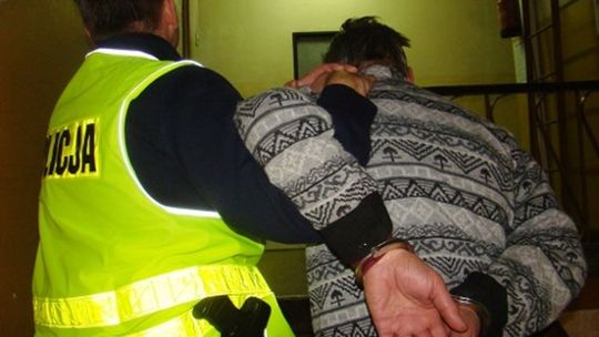 Wyrzucił psa przez okno. Grozi mu do 3 lat więzienia