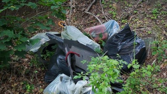 Wyrzucił śmieci przy drodze