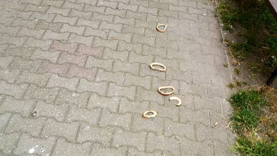 Wyrzucono chleb na chodnik przed blokiem