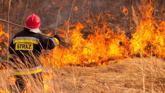 Takie mandaty za palenie śmieci i wypalanie traw Takie mandaty za palenie śmieci i wypalanie traw