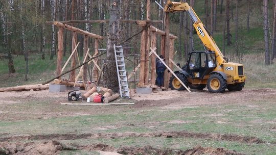 Wytną drzewo aby postawić… gród