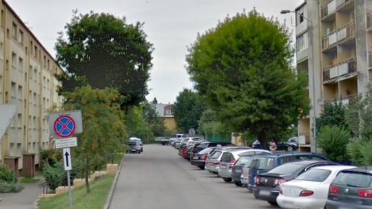 Wytną stary dąb w Gryfinie?