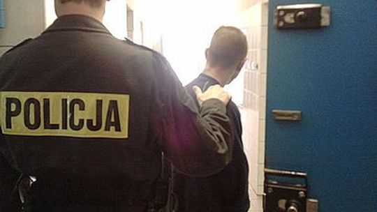 Wyzwał policjantów i momentalnie dostał karę odsiadki