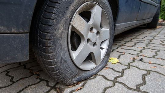 Wyżył się na Mieszka I