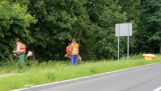 Wzięli się za wykaszanie
