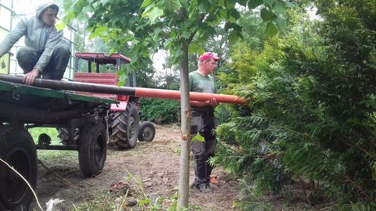 Wzięli sprawy w swoje ręce [FOTO]