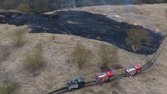 Wzywani do płonącej trawy