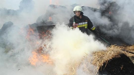 Wzywani do pożarów, szerszeni i wypadków