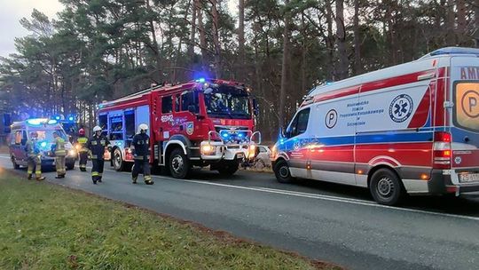 Z drogi wjechał prosto do lasu. Uderzył w drzewo