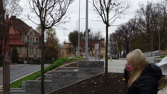 Z jednej strony sadzą, ale z drugiej niemiłosiernie wycinają