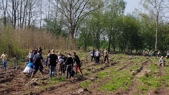Z myślą o przyszłych pokoleniach posadzili drzewa