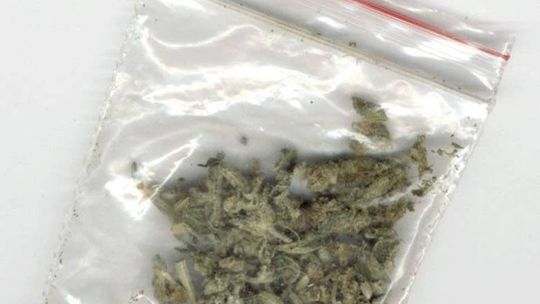 Z samego rana miał przy sobie marihuanę