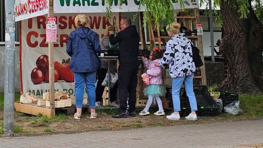 Za chwilę szczyt sezonu truskawkowego. Tanio nie jest