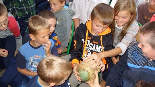 Za co dostali nagrody