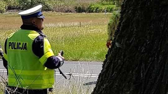Za drzewem stali, prawo jazdy mu zabrali