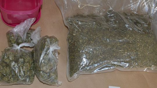 Za ponad 100 gram suszu dostał dozór policyjny
