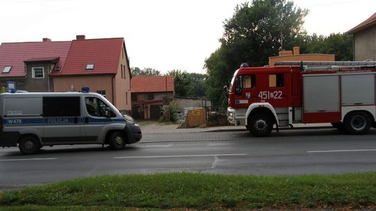 Zabawił się w bobra