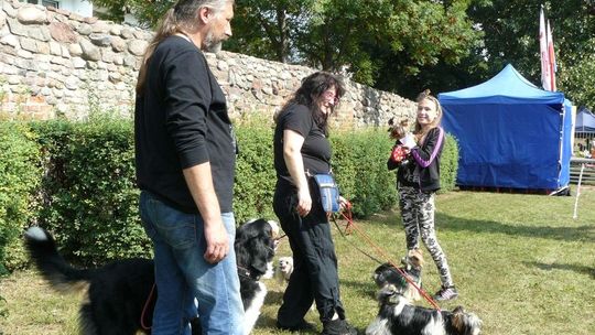 Zabierz psa na piknik