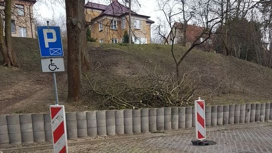 Zablokowali cztery miejsca parkingowe na wiele dni. A obciętych gałęzi nie wywożą 