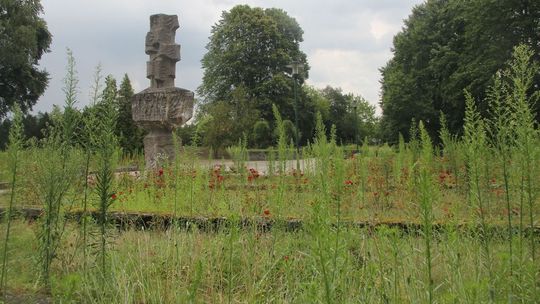Zachwaszczony cmentarz wojenny żołnierzy radzieckich