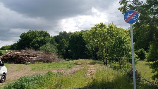 Zaczęli budowę ścieżki rowerowej prowadzącej z Gryfina