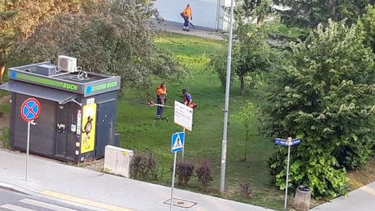Zaczęli kosić o 6 rano! Pobudka w centrum Gryfina