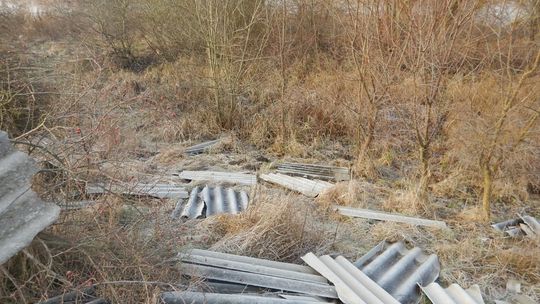 Zadbajcie o porządek za mostem! - apel do władz gmin Gryfino i Widuchowa