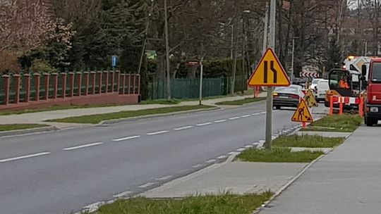 Zagapiła się i wpadła pod samochód Zagapiła się i wpadła pod samochód