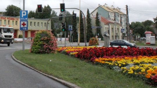 Zagłosuj na Gryfino w konkursie na najpiękniej ukwiecone miasto w Polsce