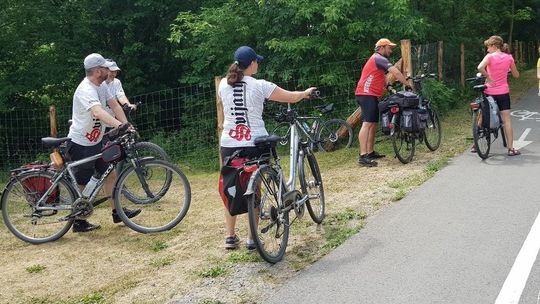 Zainstalowali liczniki rowerowe i policzyli rowerzystów