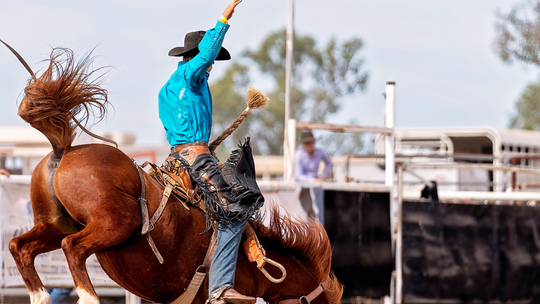 Kupili bilety na rodeo w Polsce. Miasto tłumaczy, że impreza narusza ustawę o ochronie zwierząt