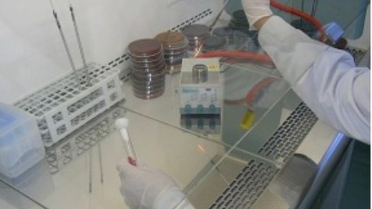 Zakażenia salmonellą w żłobku w Gryfinie. Mamy informację z sanepidu