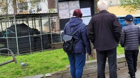 Żałoba jest mostem pomiędzy teraźniejszością a przeszłością.