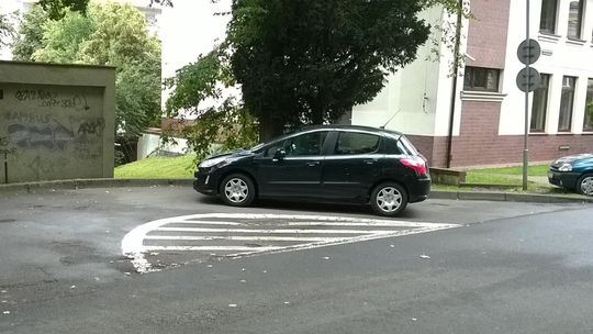 Zamiast zawrócić, zatrzymał się i... zaparkował