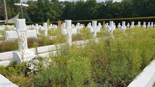 Zaniedbany cmentarz – pomnik historii wymaga szczególnej uwagi [FOTO]